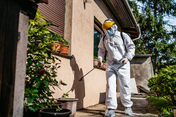 Best Flea Control Services  in South Plainfield, NJ