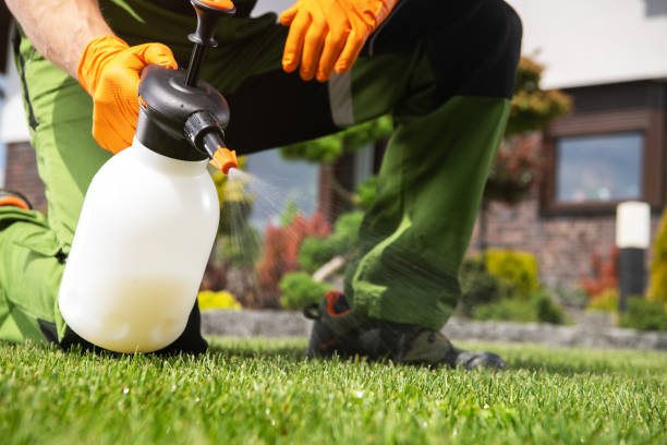 Best Flea Control Services  in South Plainfield, NJ