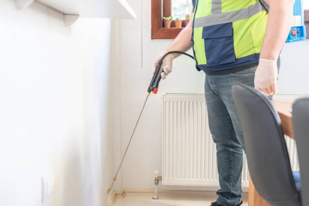 Best Pest Removal Services  in South Plainfield, NJ