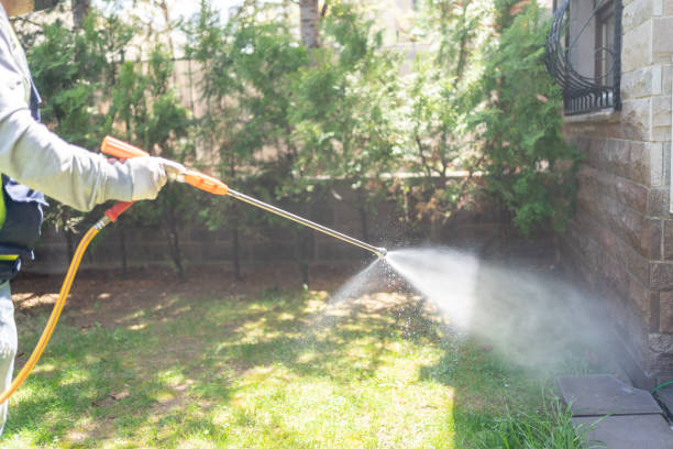 Best Bed Bug Extermination  in South Plainfield, NJ