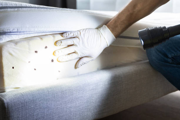 Best Mosquito Control Services  in South Plainfield, NJ