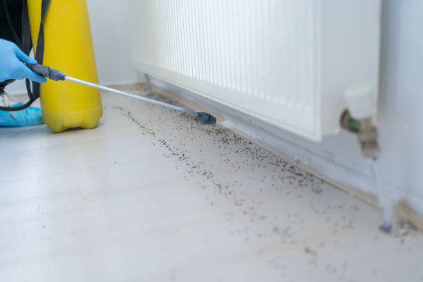 Best Affordable Pest Control Services  in South Plainfield, NJ